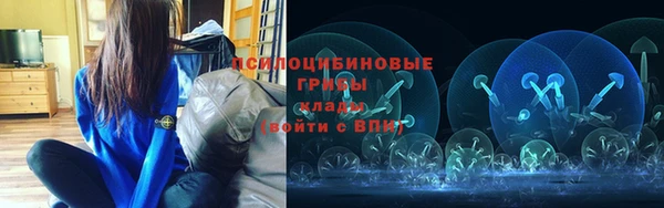 стаф Алексеевка