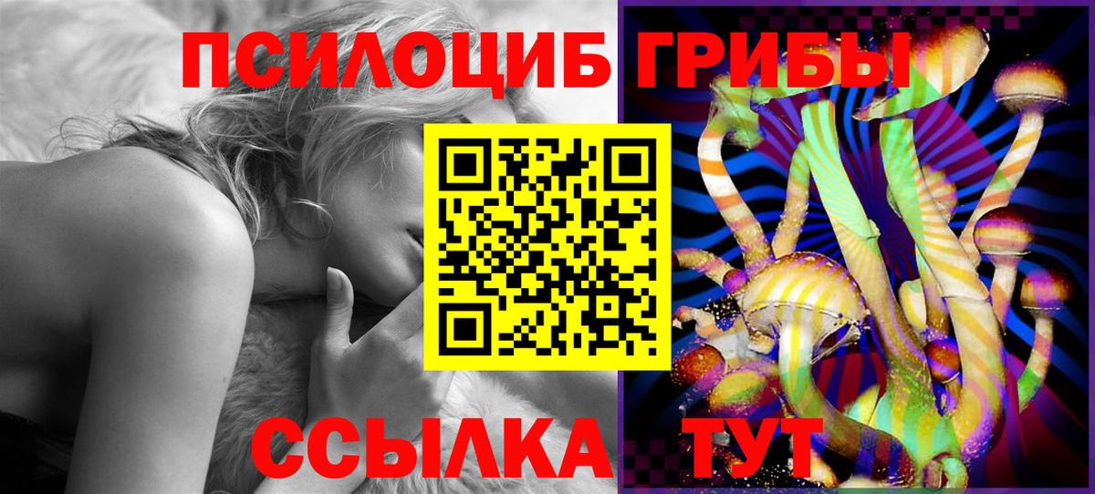Псилоцибиновые грибы прущие грибы Томск